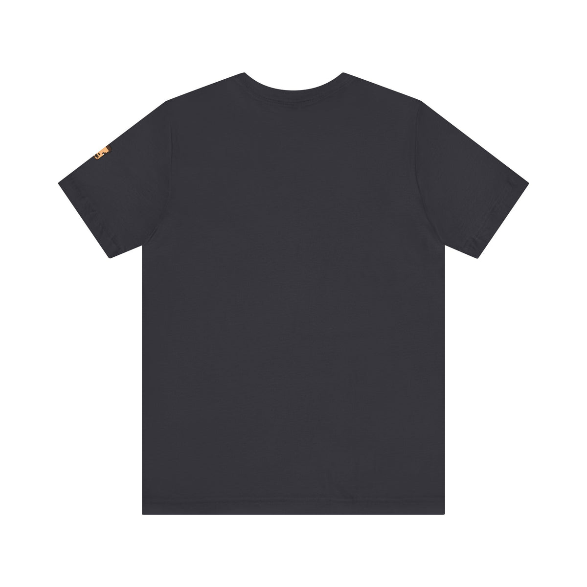 Born Free, Protect The 2nd | Unisex Jersey Short Sleeve Tee (USA/ CAN ONLY)